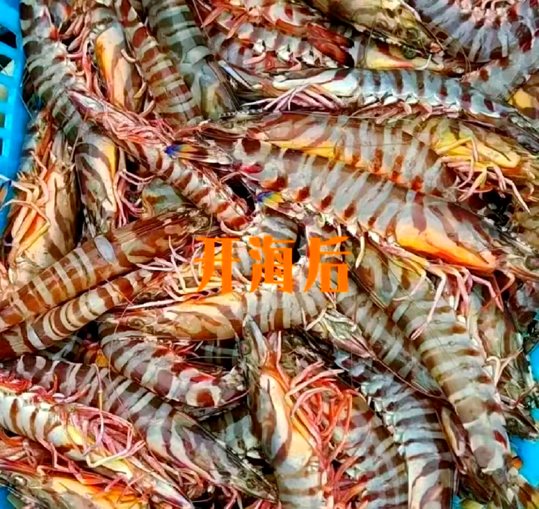 湛江疫情高发地区有哪些/湛江疫情高发地区有哪些地方-第1张图片