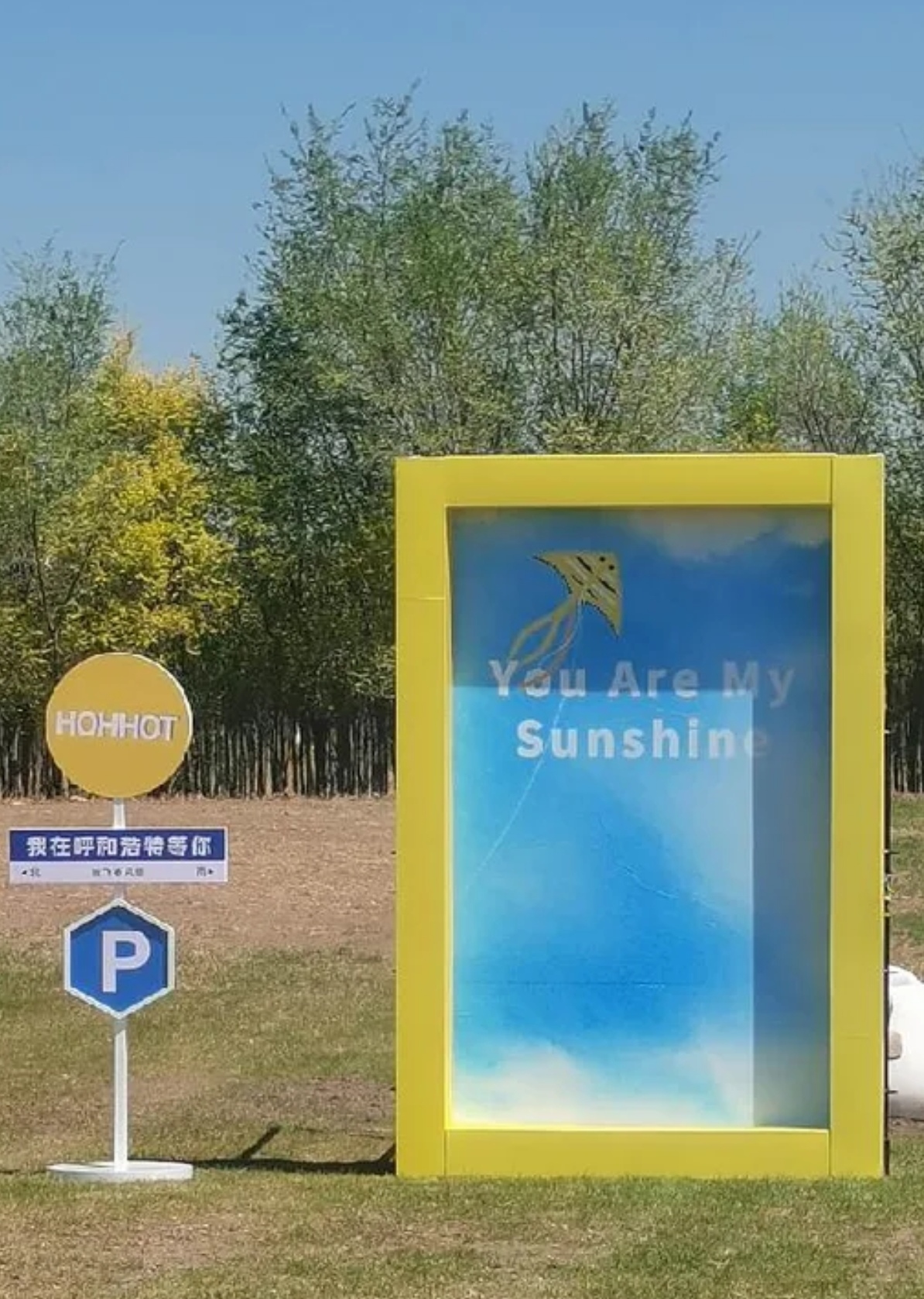 【疫情确诊地区比较多的城市,疫情确诊地区比较多的城市是哪里】-第2张图片