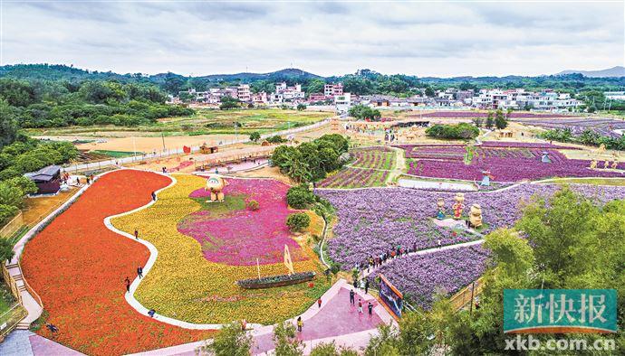 从化现在什么地区有疫情.广州从化市有疫情吗？-第1张图片