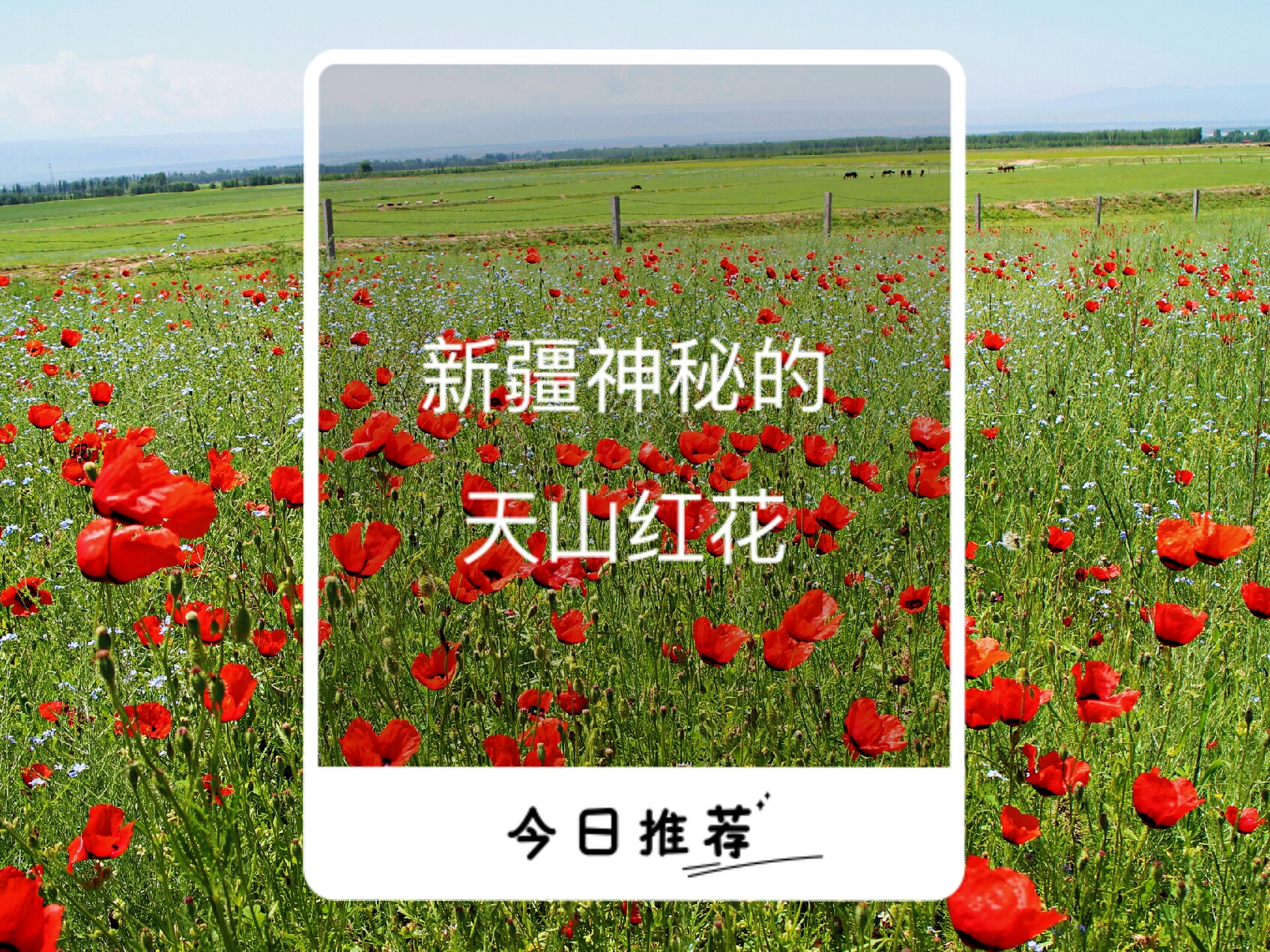 疫情地区的苹果能吃么/疫情过后水果苹果会涨价吗-第3张图片