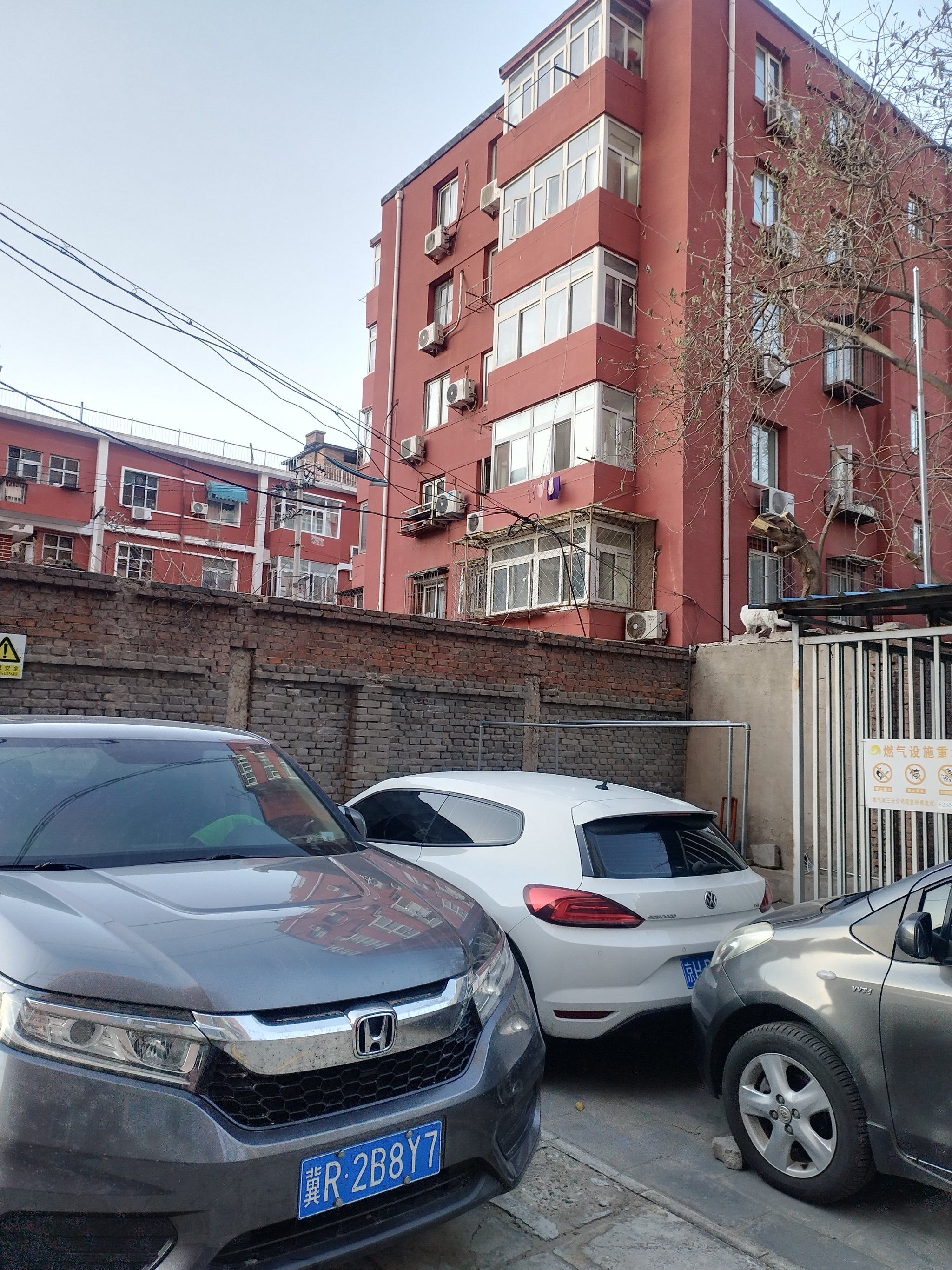 青岛市北区疫情地区(青岛市北区疫情哪个小区)-第1张图片