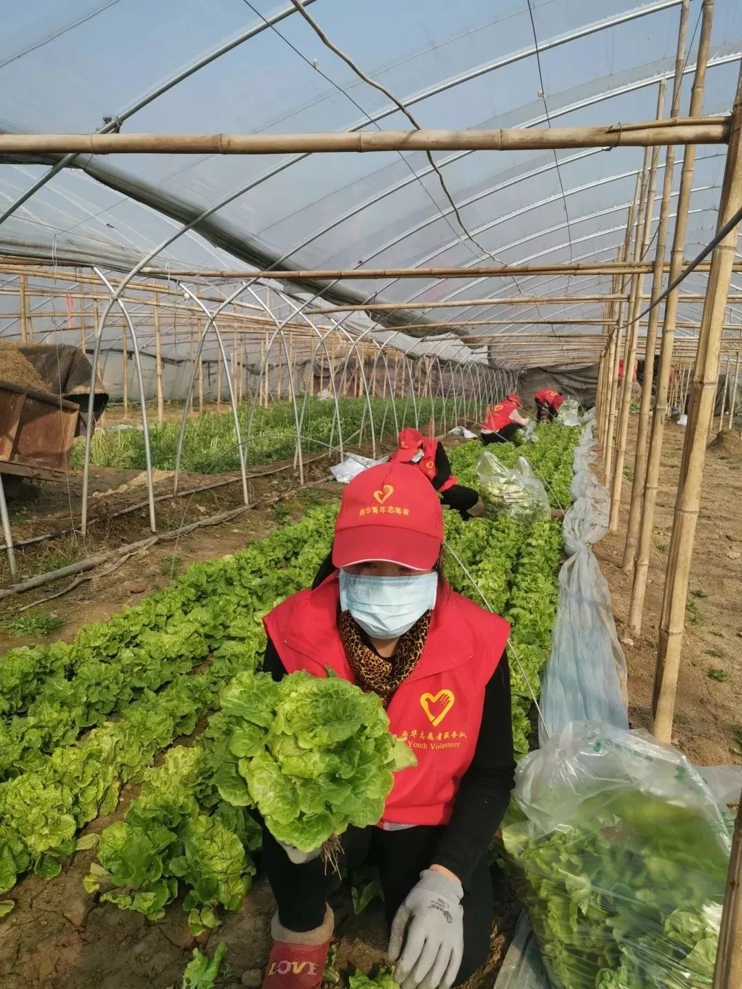 河南市疫情地区分布/河南省疫区划分-第1张图片