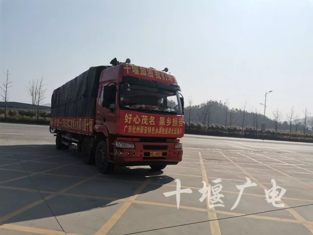 无疫情地区进茂名政策(进出茂名)-第3张图片