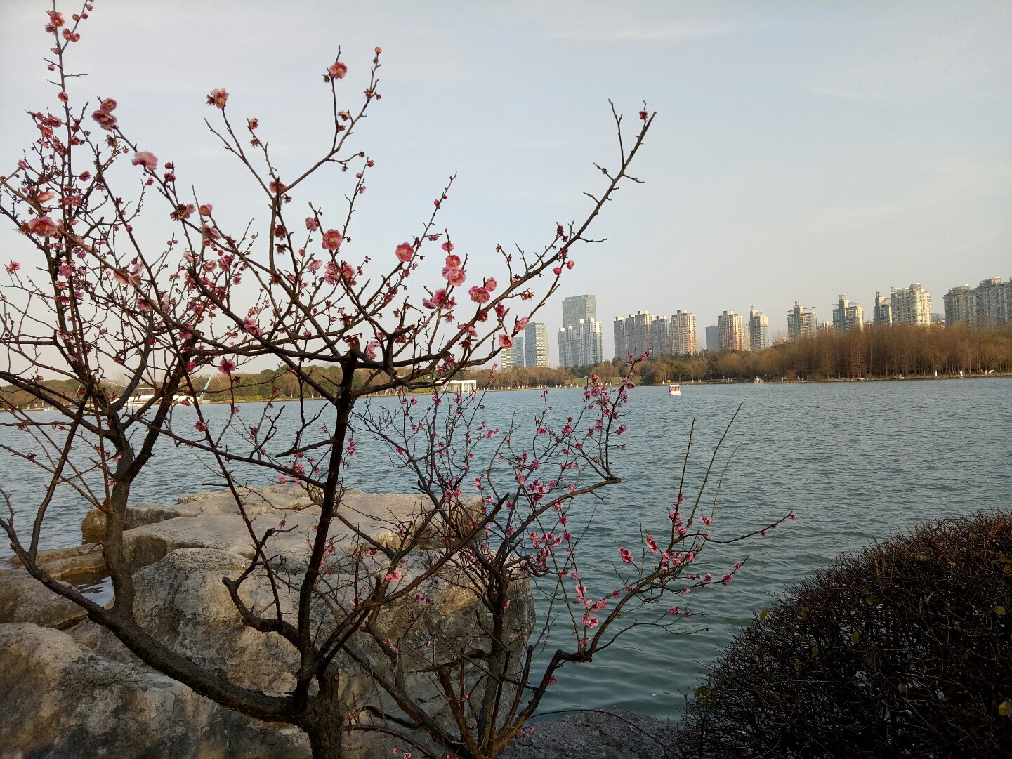 上海浦东花木地区疫情.上海浦东新区花木镇?-第2张图片