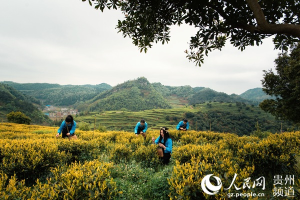 安顺疫情确诊地区有哪些.安顺发布疫情防控通告?-第1张图片