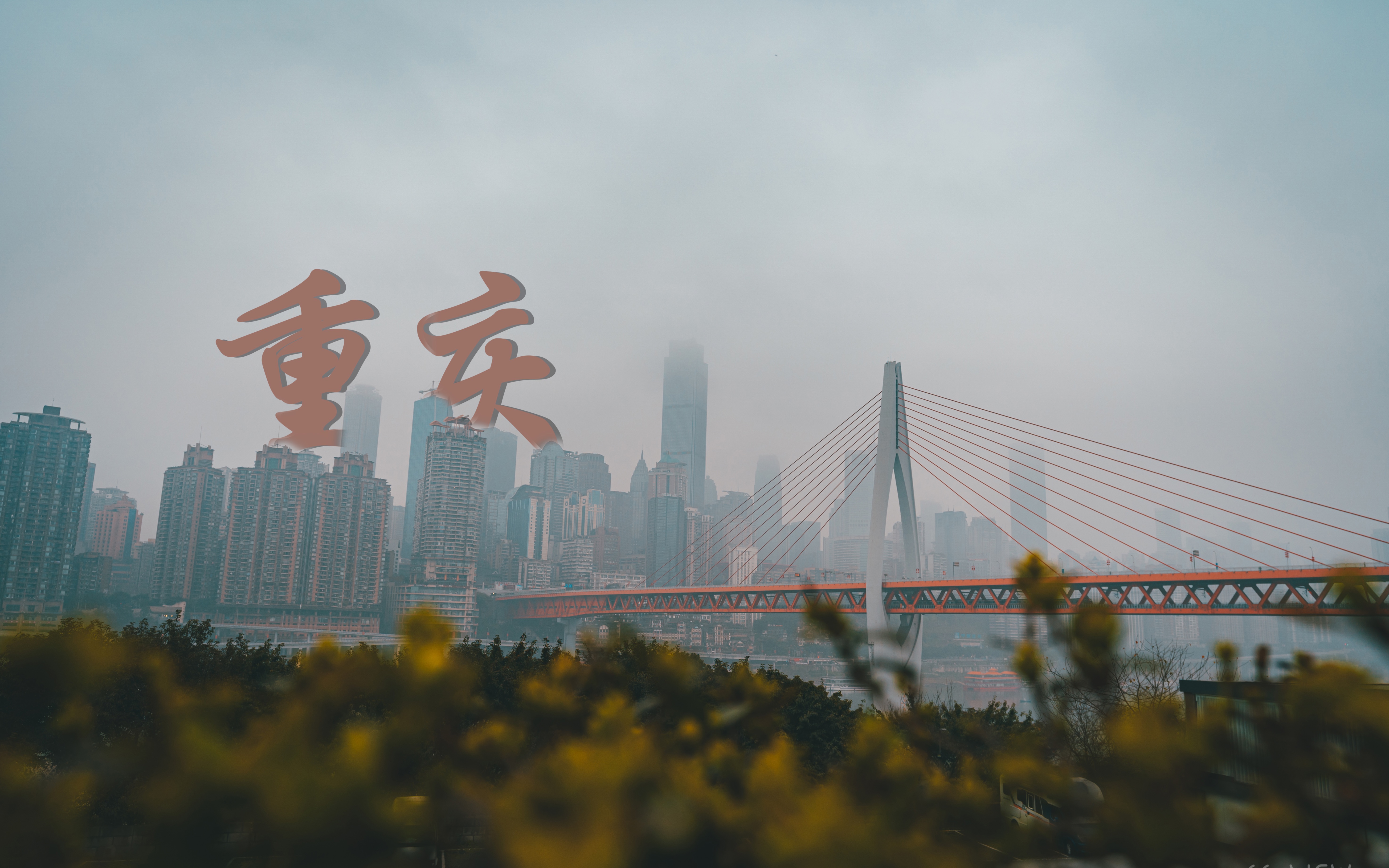 重庆疫情高危地区有哪些/重庆是疫情高危地区吗-第2张图片