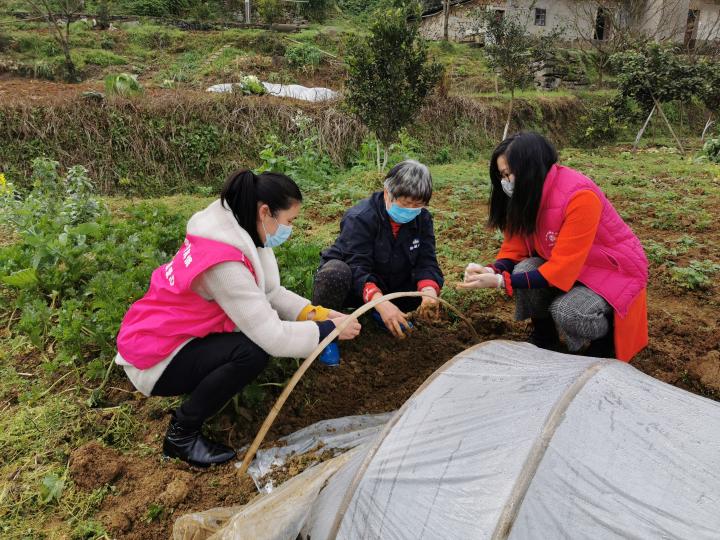 非疫情地区能干活吗(非疫情地区能干活吗现在)-第2张图片