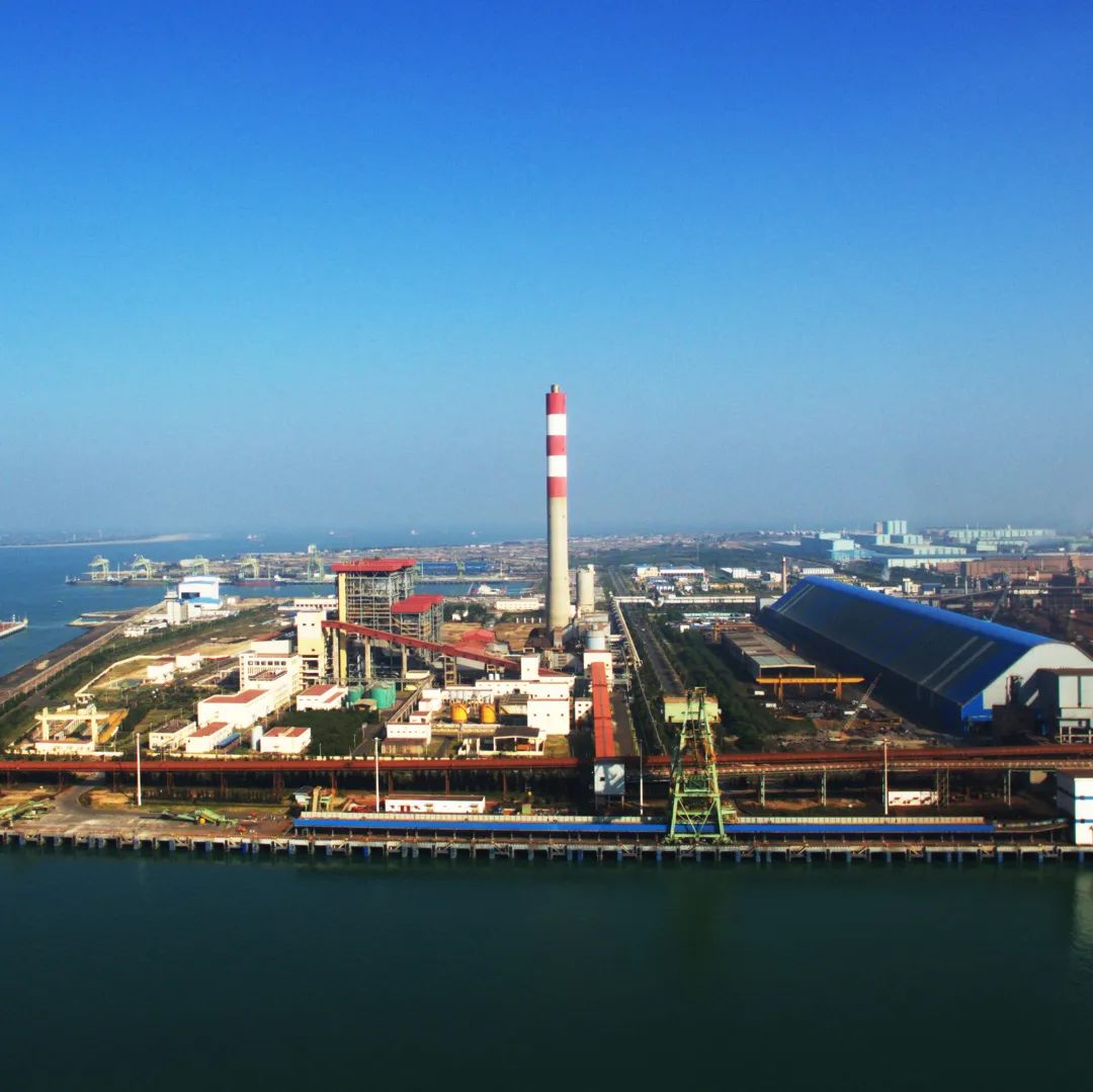 湛江地区疫情运输车辆(湛江地区疫情运输车辆管理规定)-第3张图片