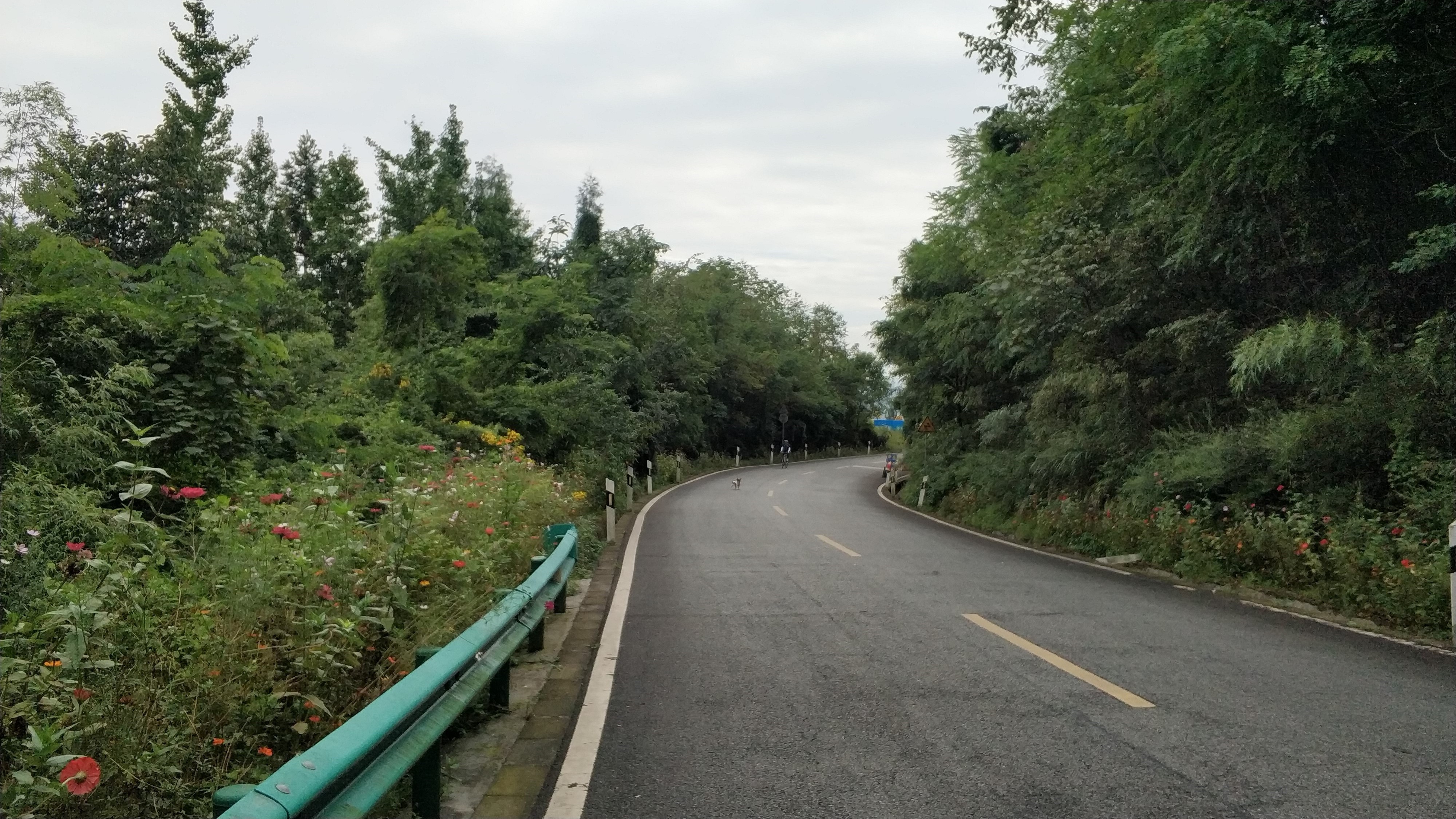 【成都地区都江堰疫情,成都都江堰疫情风险等级】-第1张图片