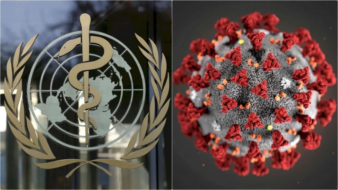 世界认定疫情地区有哪些/世界卫生组织认定世界疫情-第1张图片