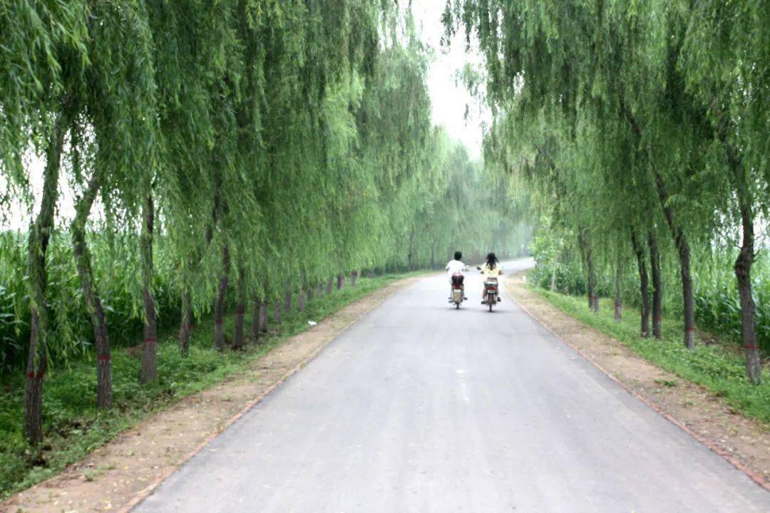 河北临西属于疫情地区吗/河北临西有疫情吗-第2张图片