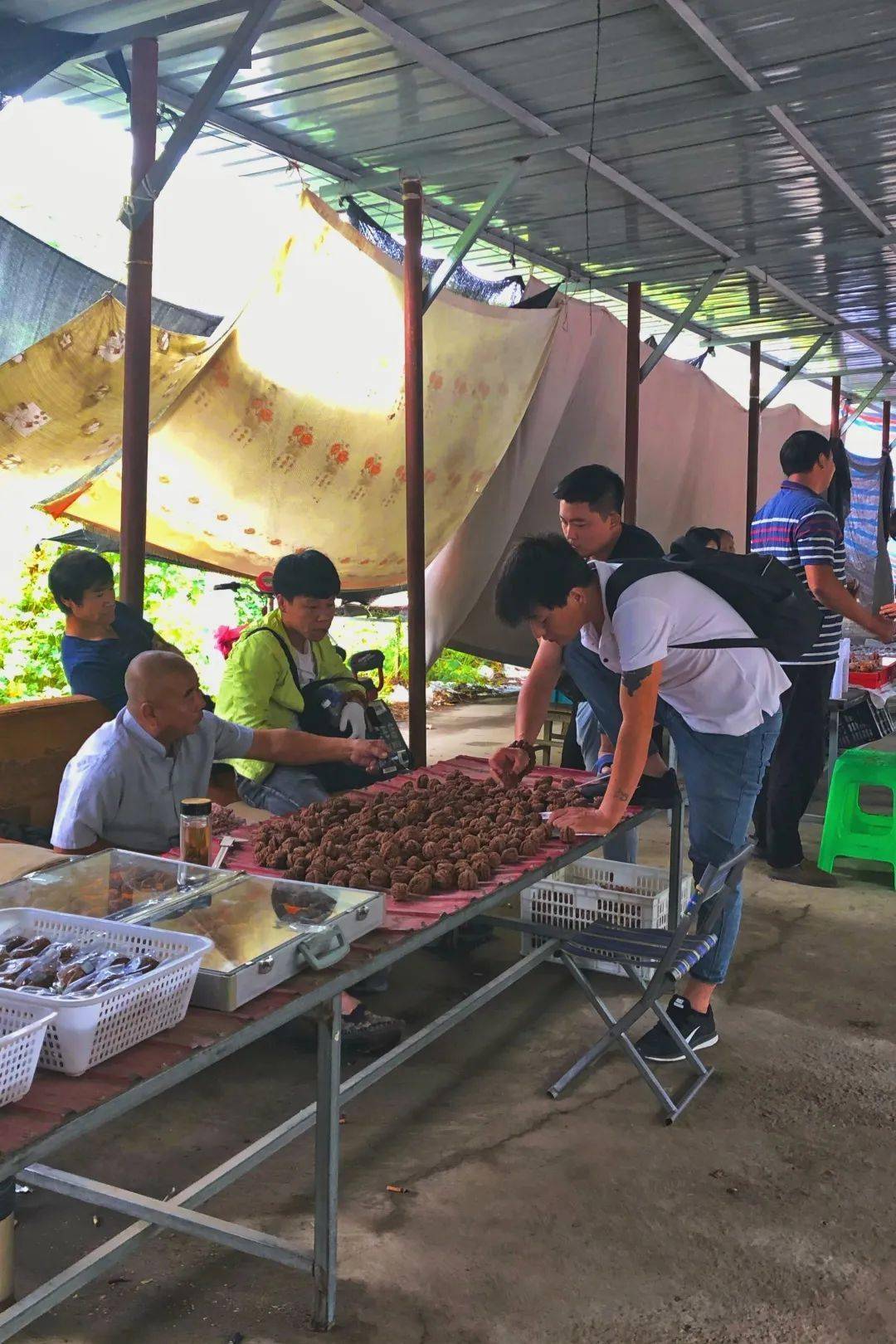 【香港核桃地区疫情严重吗,香港港核是怎样】-第2张图片