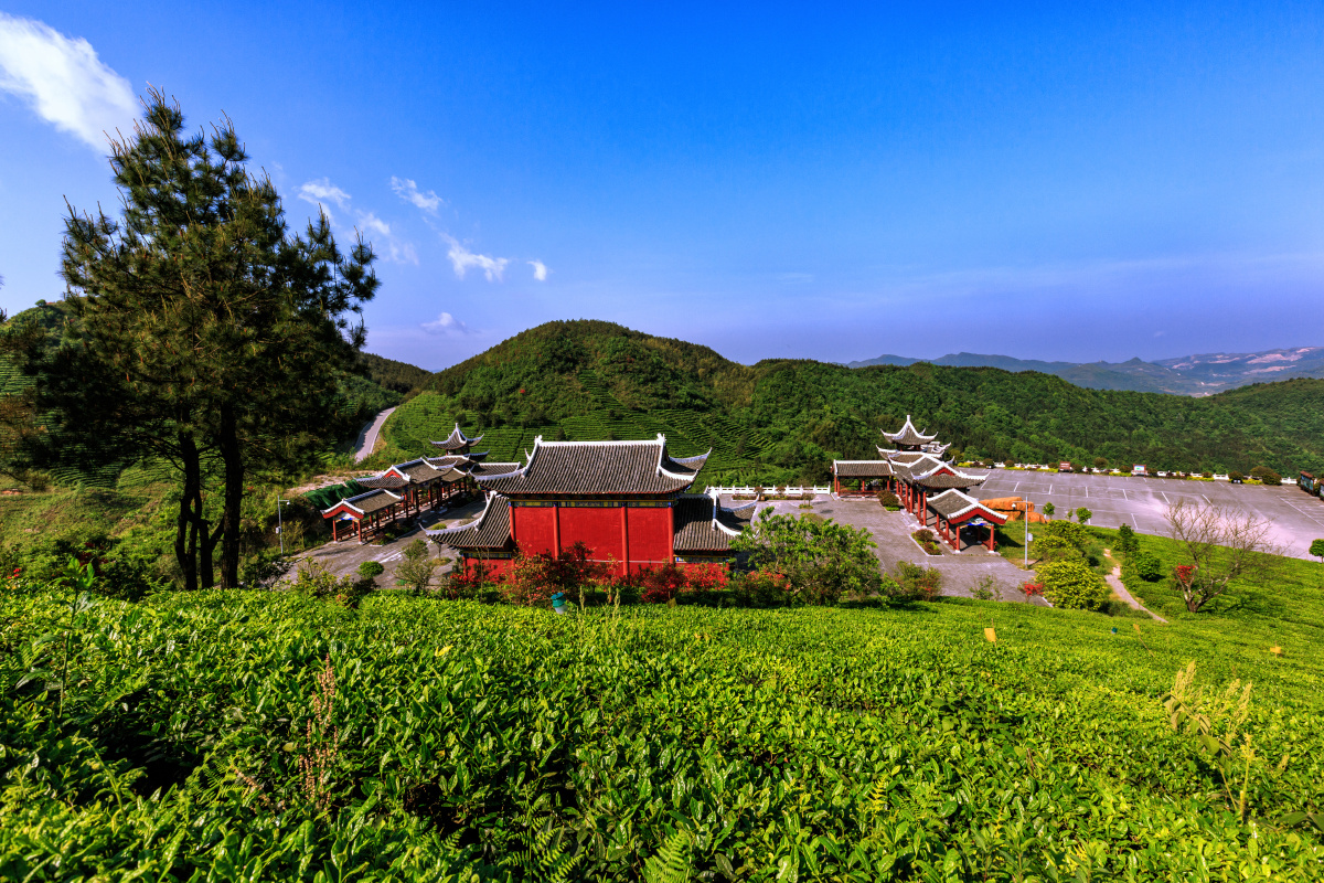 【都匀疫情低风险地区,都匀是低风险地区吗】-第3张图片