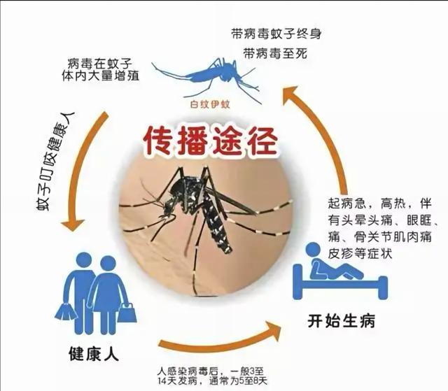 台湾地区爆发登革热疫情(台湾疫情严峻)-第1张图片