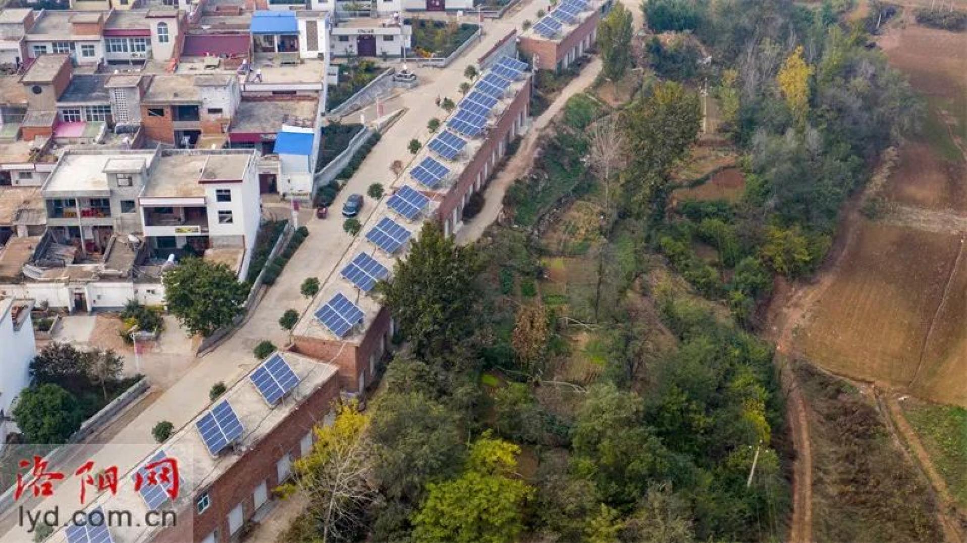 宜阳什么地区有疫情病例(宜阳县疫情公告)-第1张图片