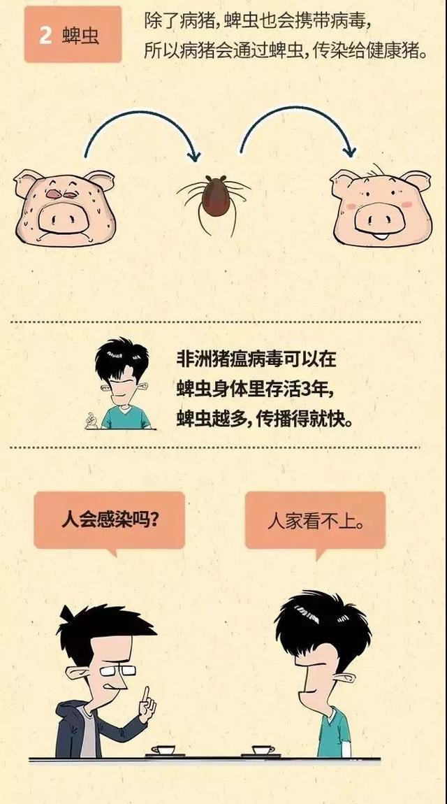 海南算不算疫情地区范围(海南是疫区吗?)-第2张图片