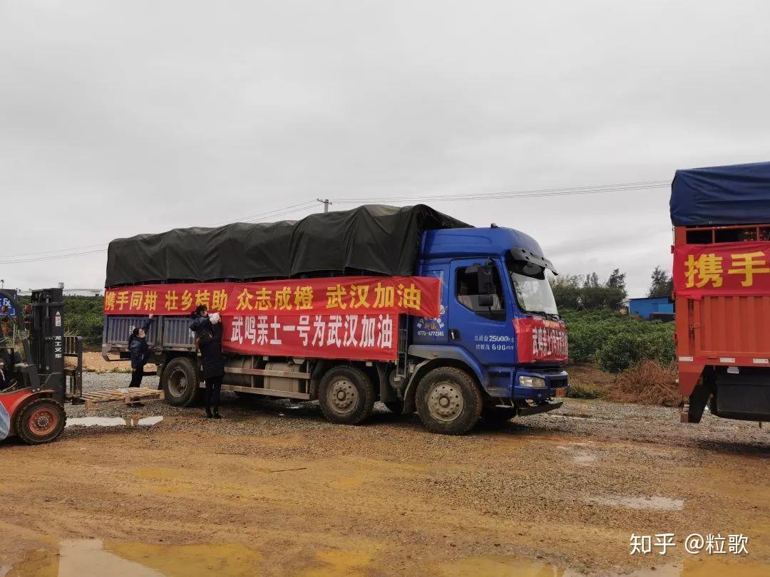 广西武鸣地区有疫情吗/广西武鸣是哪里-第1张图片