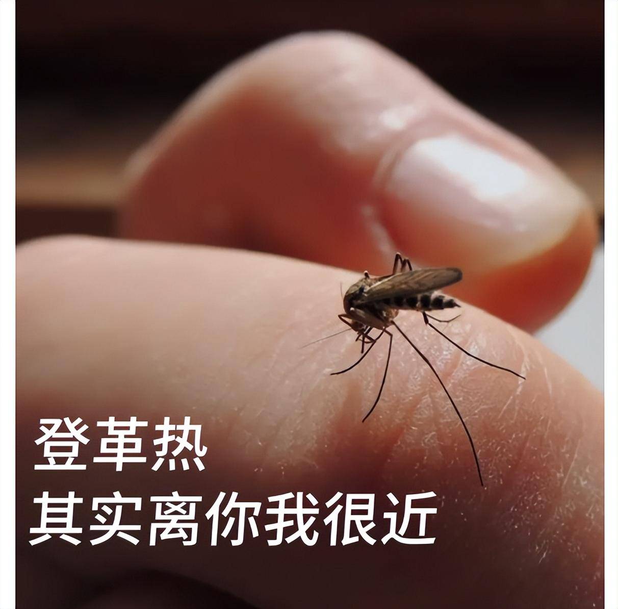 台湾地区爆发登革热疫情(台湾疫情严峻)-第2张图片
