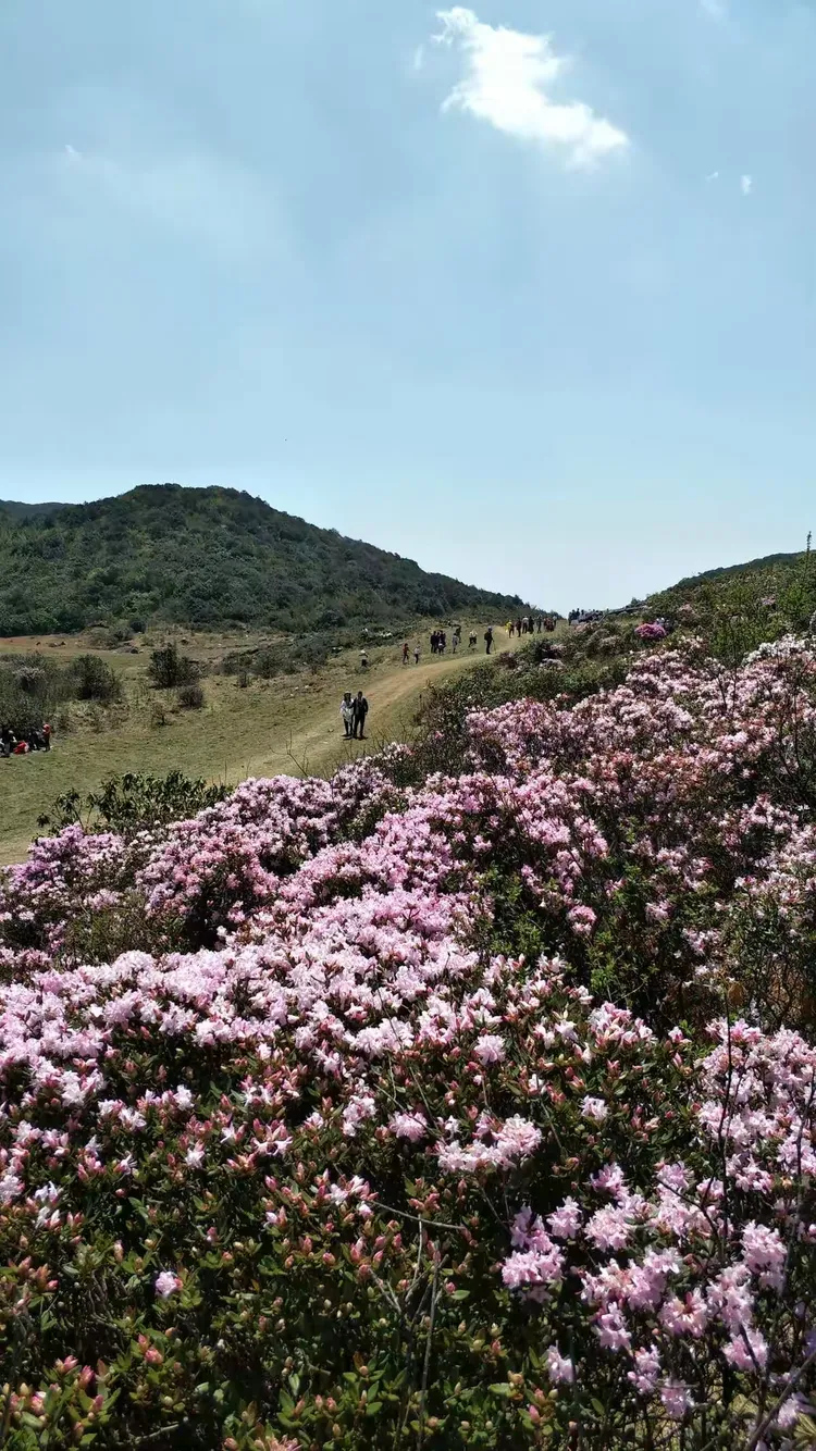 宣威东山地区疫情情况(宣威东山图片)-第1张图片