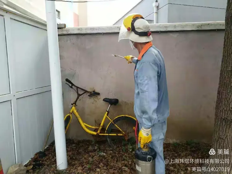 从疫情地区跑出来.从疫区偷跑出来怎么办?-第2张图片