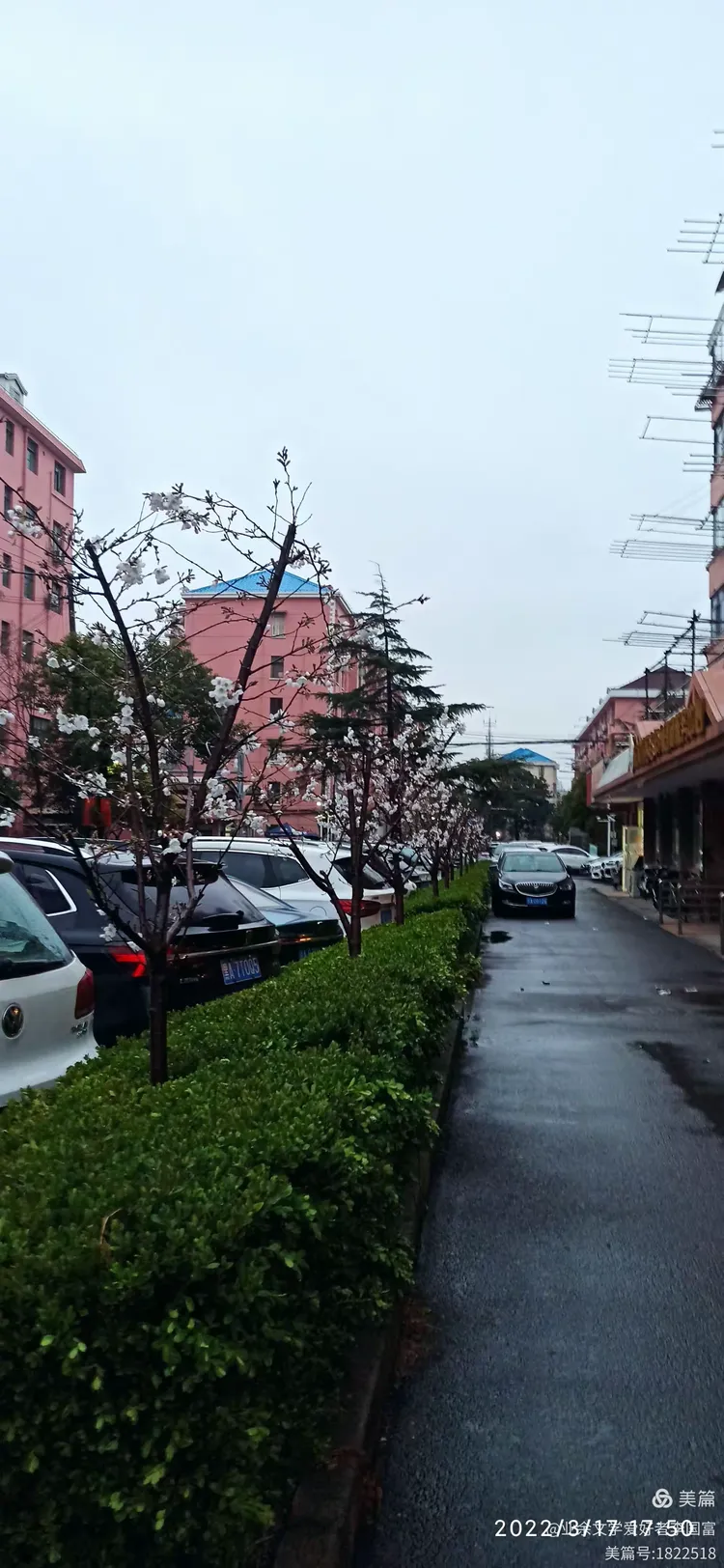 【浦东地区疫情防控电话,上海浦东疫情防控询问电话】-第3张图片