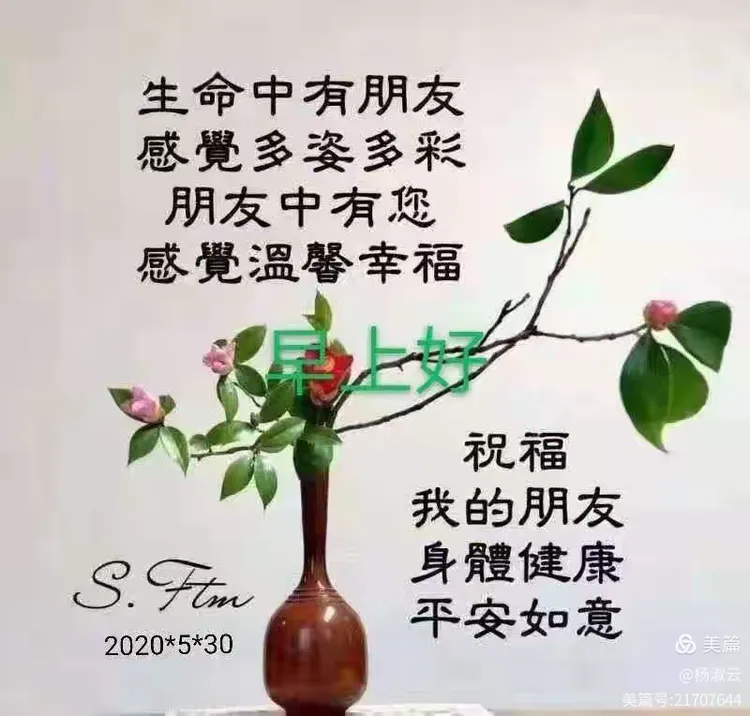 【朋友地区疫情怎么问候她,朋友所在地区爆发疫情怎么问候】-第2张图片