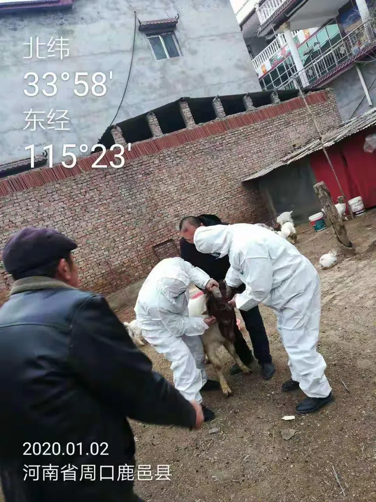 鹿邑现在什么地区有疫情/鹿邑现在什么地区有疫情病例-第3张图片