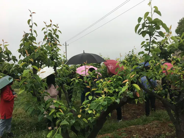 湖南疫情防控绿色地区.湖南的疫情防控措施?-第1张图片