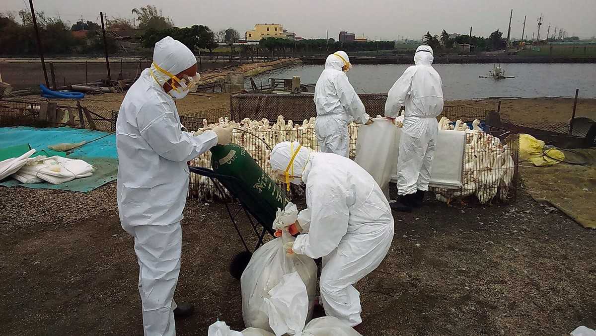 【地区出现疫情谁买单呢,疫情地区的东西可以购买吗】-第2张图片