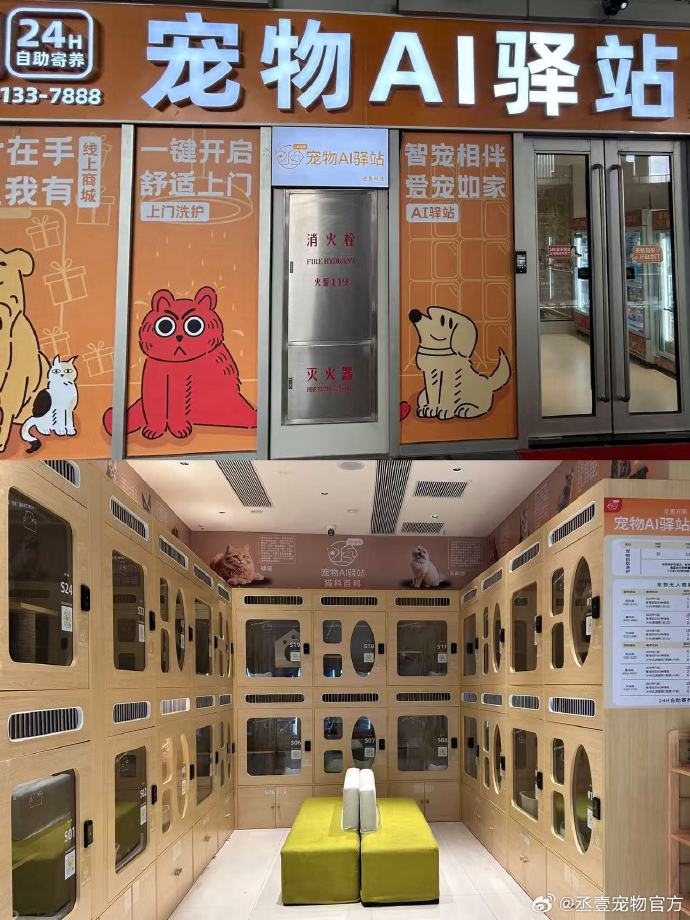 疫情地区宠物店寄养(疫情下宠物怎么处理)-第2张图片