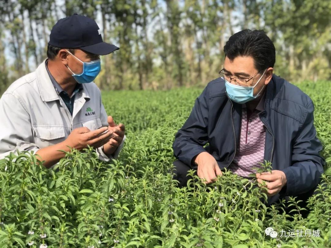 【阜康疫情风险地区最新,阜康市疫情防控措施】-第1张图片