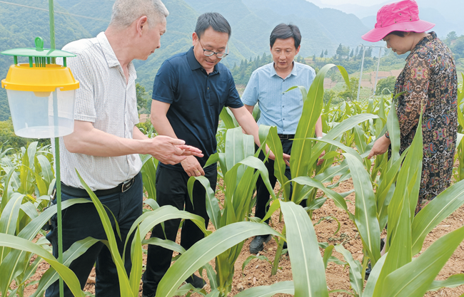 房县疫情中风险地区/房县疫情封城情况最新消息-第3张图片