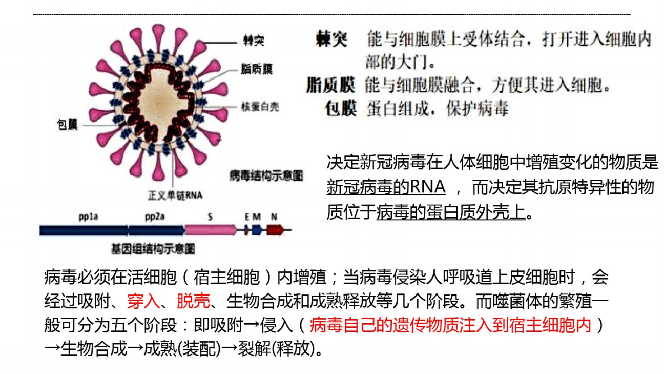 疫情中高险地区包括哪些.疫情中高险地区包括哪些地方？-第1张图片