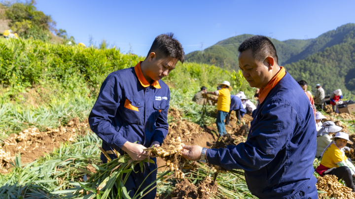 【墨江疫情风险地区最新,墨江疫情风险地区最新查询】-第1张图片