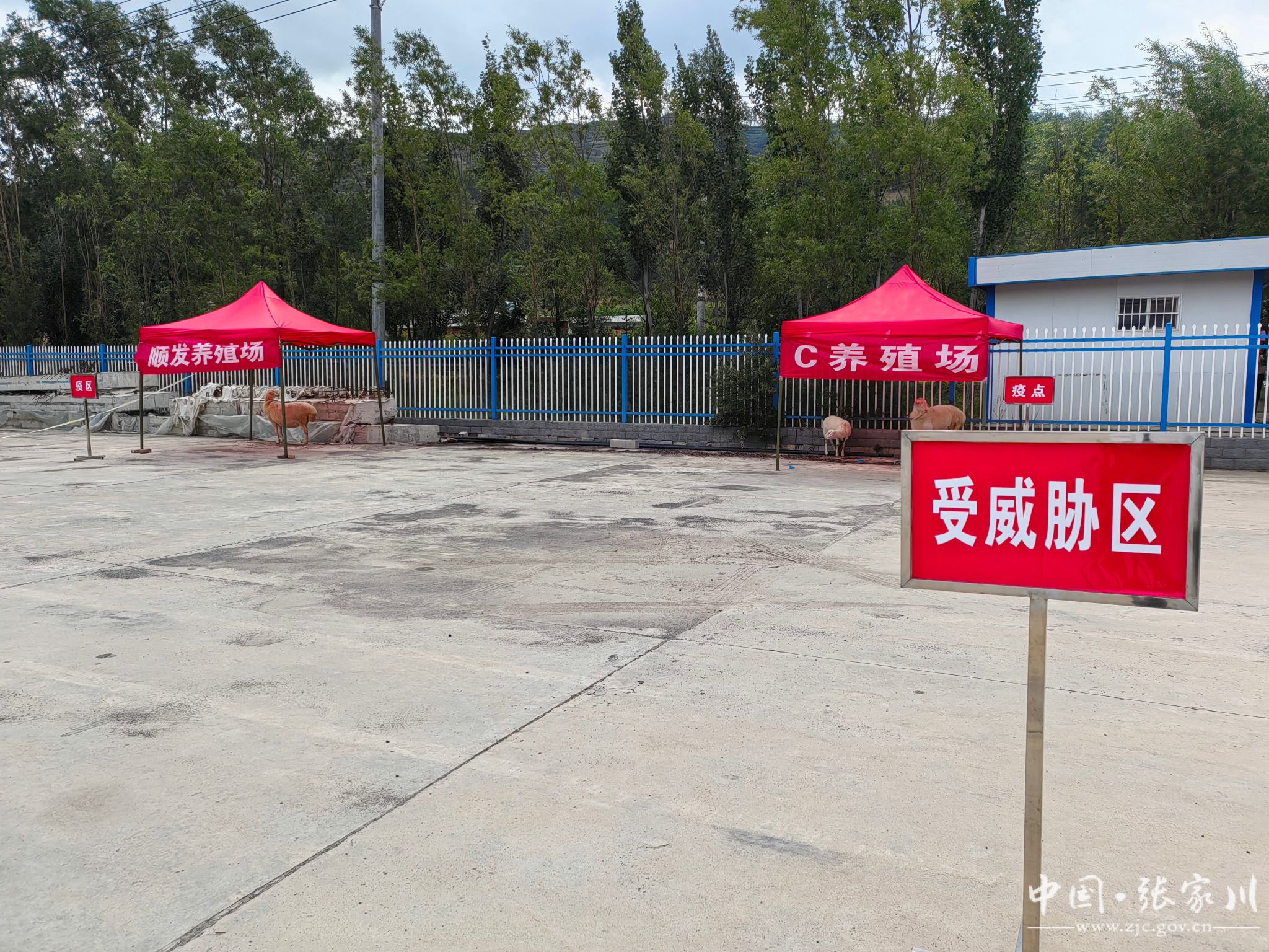 甘肃天水地区医院疫情(天水地区医院是哪个医院)-第3张图片