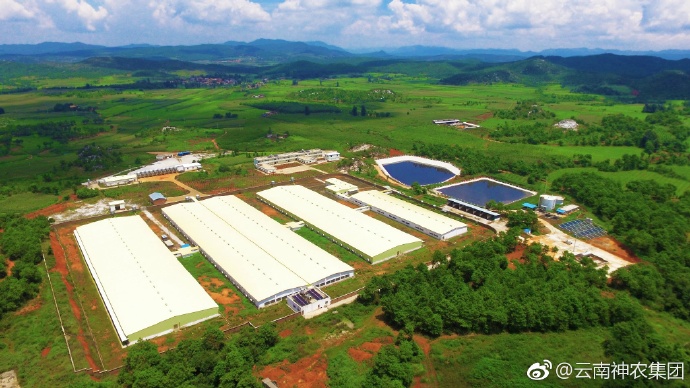 宣威疫情风险地区最新.宣威疫情风险地区最新查询？-第1张图片