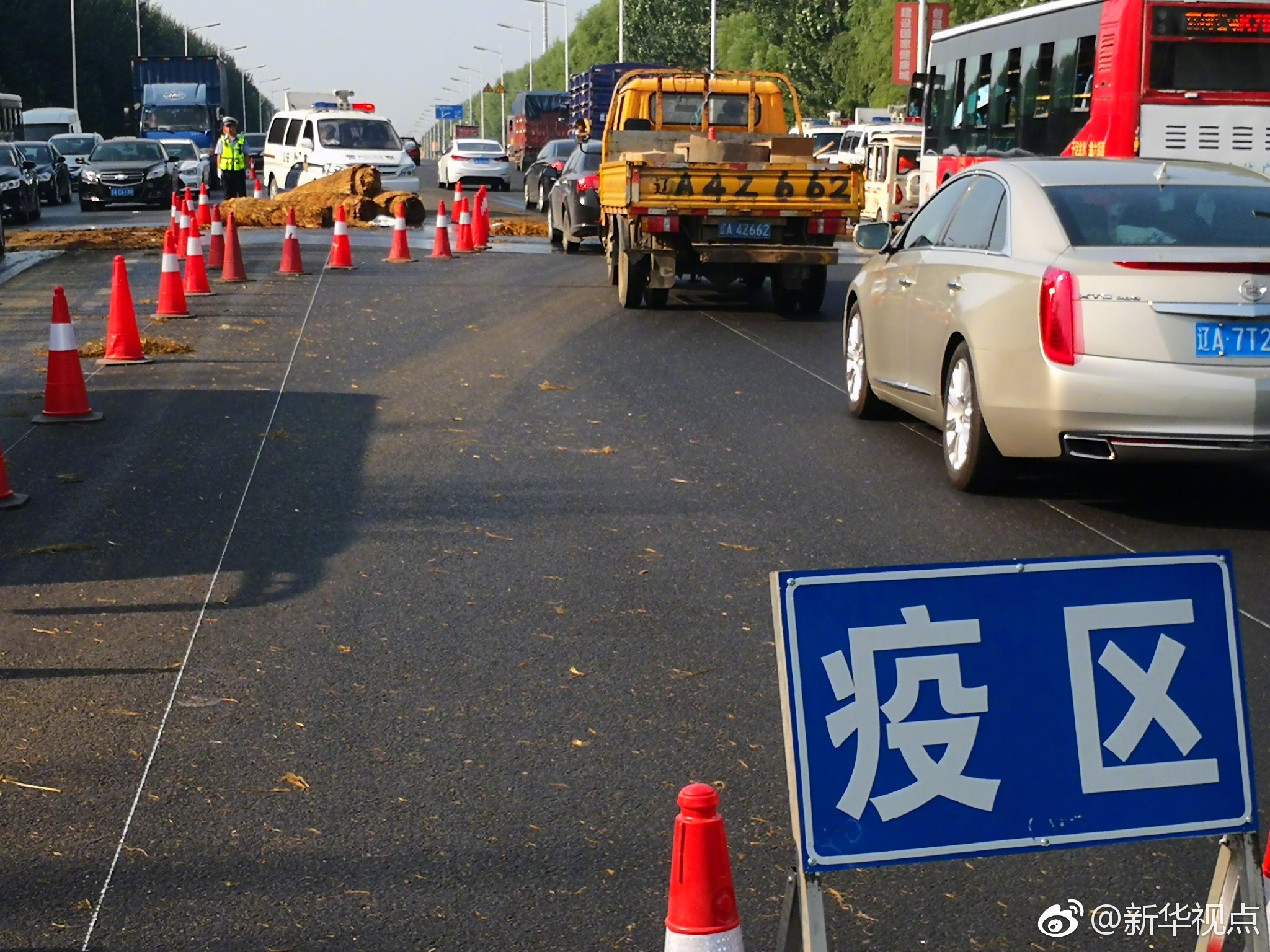 从疫情地区跑出来.从疫区偷跑出来怎么办?-第1张图片